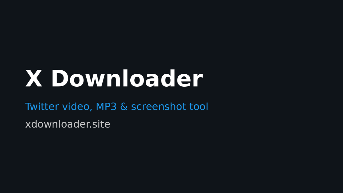 X Downloader screenshot 1